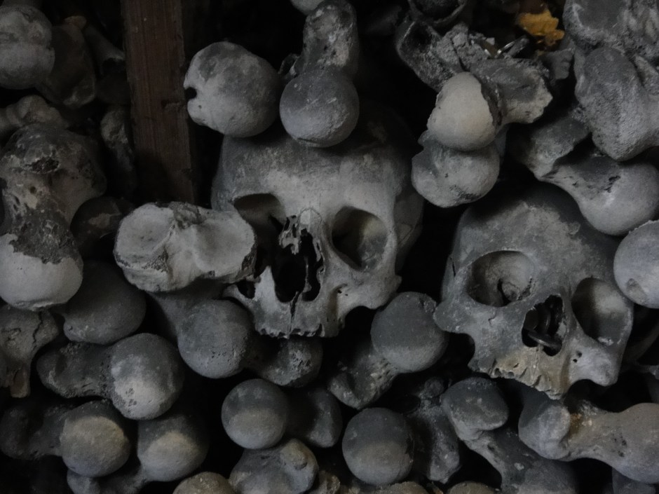 He seemed like a cool dude