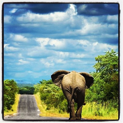 182318_10200155351187460_1456393100_n