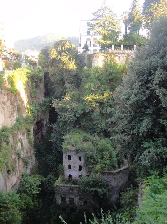 My favorite part of the island: this hidden, forgotten treasure