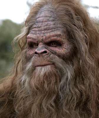 sasquatch