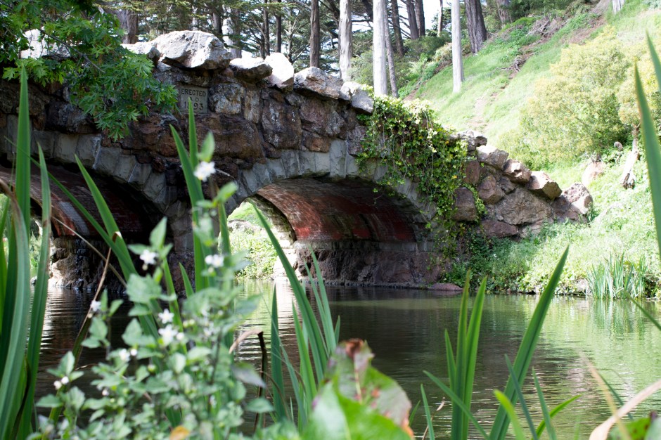 golden gate park 8_1