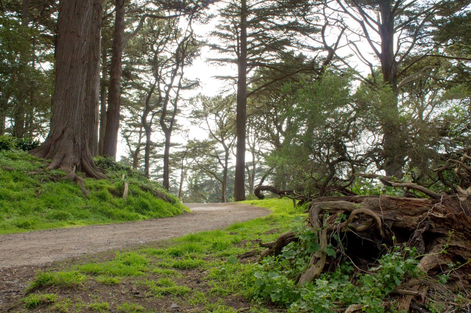 golden gate park 9_1